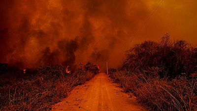 Pantanal em chamas: descaso com meio ambiente (Mayke Toscano/Secom-MT)