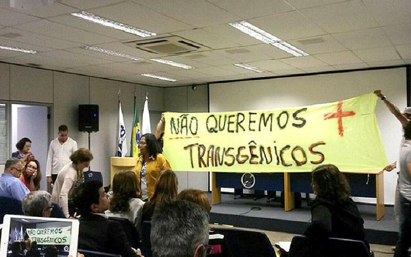Entidades não querem transgênicos e nem outras biotecnologias pouco estudadas. Brasil é o primeiro país a afrouxar ainda mais as regras Foto: Divulgação/MST