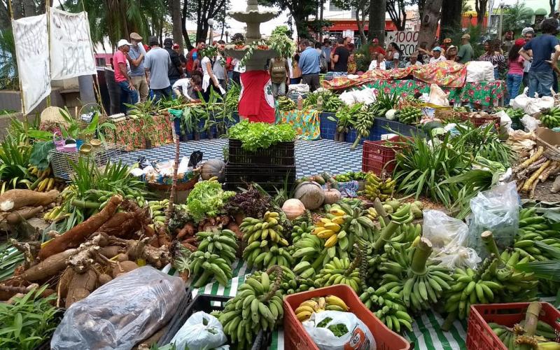 Vizinhos fizeram um abaixo-assinado pela existência do Quilombo Foto: MST