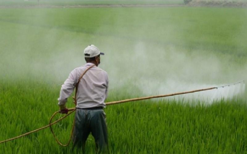 Prejuízos à saúde e ao meio ambiente, que por sua vez trazem mais doenças, são incalculáveis. Diversos tipos de câncer são causados por agrotóxicos Foto: Pixabay