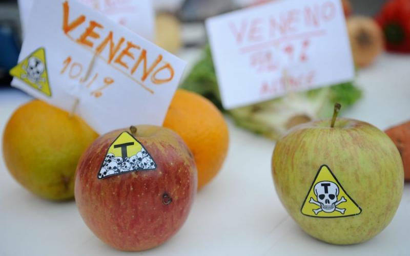 Foto: Campanha 'Chega de Agrotóxicos'