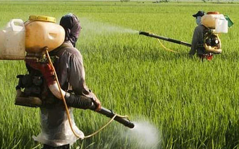 São Paulo é o quarto maior consumidor brasileiro de agrotóxicos. E o Brasil, o maior consumidor mundial do produto Foto: Agência Brasil