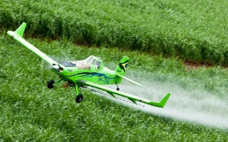 Os resíduos encontrados em maior quantidade são da atrazina, agrotóxico muito usado em canaviais, como os que dominam o monocutivo no norte fluminense Foto: ARQUIVO/CENIPA