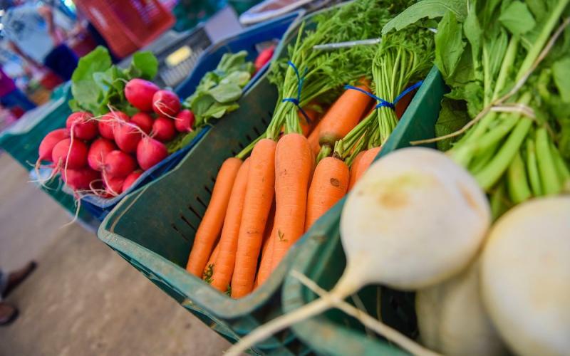 "Logo faltará alimento, alimentos de qualidade para sustentar o povo", alerta coordenador-geral da Contraf Foto: Reprodução