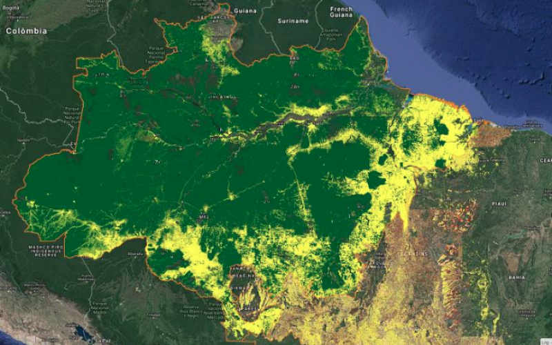 Site do Inpe com visualização do desmatamento acumulado (em amarelo) na Amazônia Crédito: Inpe