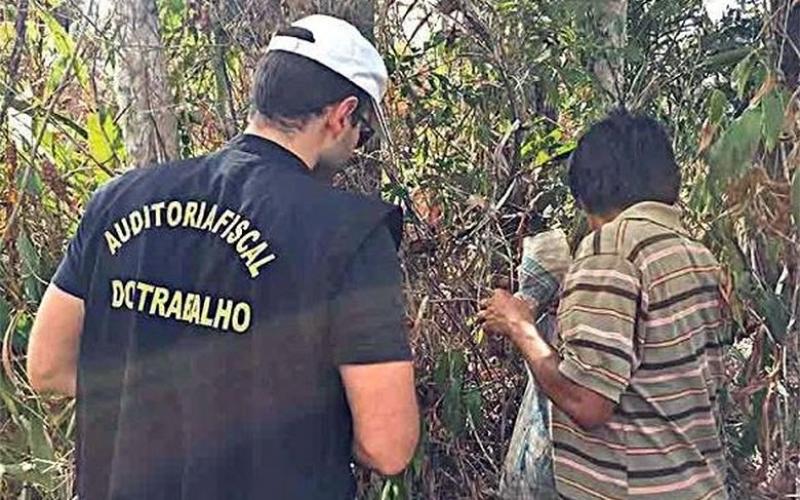 Autonomia da inspeção do trabalho, responsável entre outras funções pelo combate ao trabalho escravo, está ameaçada Foto: Sinait
