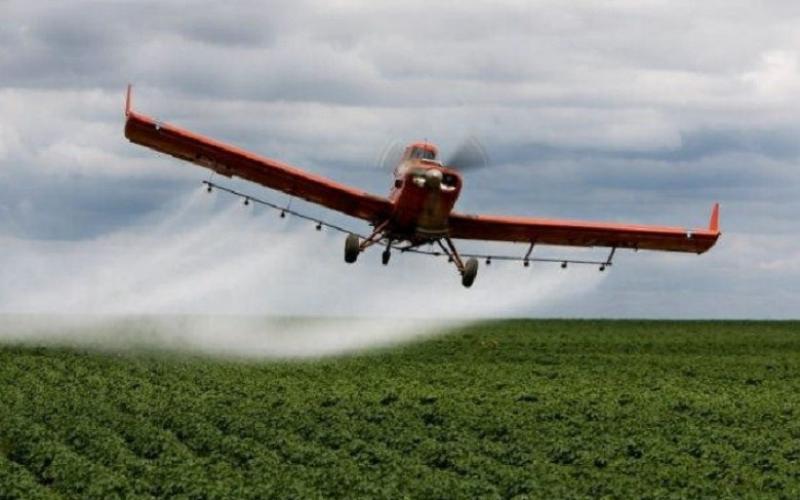 O Ceará proibiu a pulverização aérea, mas este mês dispensou licenciamento para o plantio irrigado, com uso de agrotóxicos Foto: Reprodução