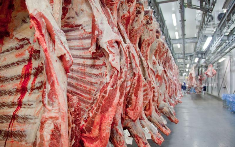 Foto: Divulgação/Abiec