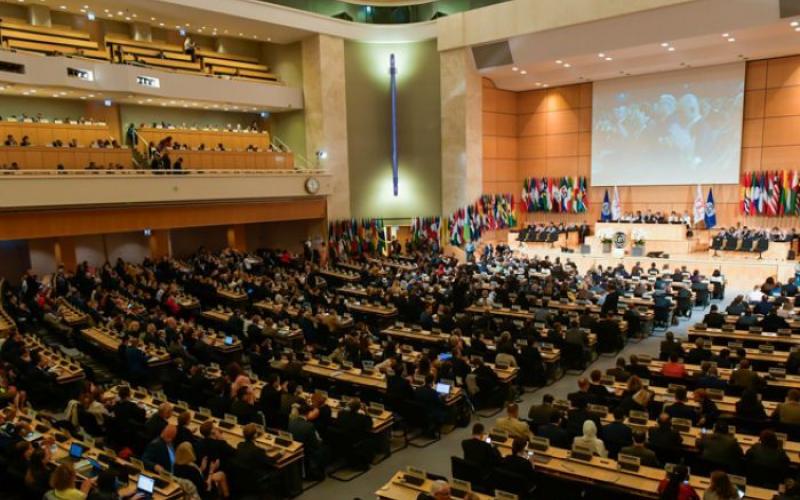 108ª Conferência da OIT se encerra nesta sexta-feira 21, em Genebra, na Suíça Foto: Reprodução