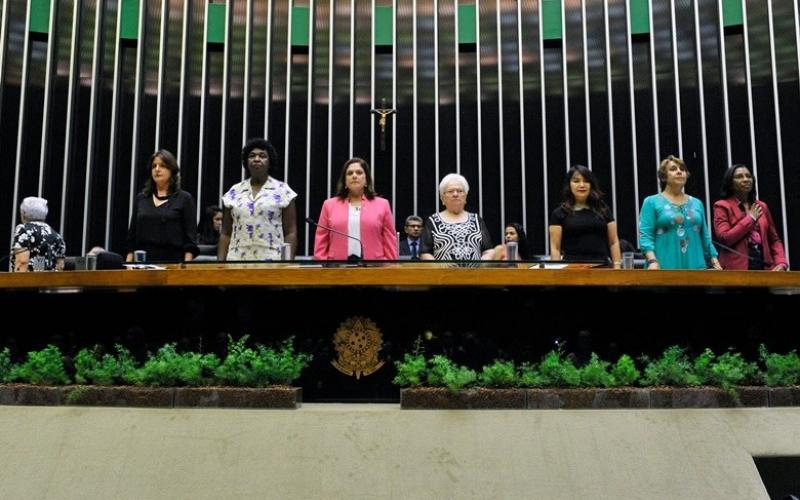 Apesar de serem 52% dos eleitores, só 11,3% do total de parlamentares no Congresso Nacional são mulheres, Foto: Luis Macedo / Câmara dos Deputados