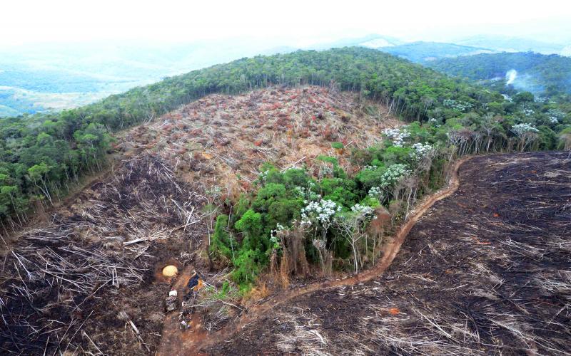 Medida estabelece regras que favorecem desmatamento e concentração de terras Foto: Welington Pedro de Oliveira