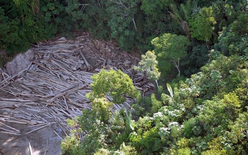 Na campanha presidencial, Bolsonaro criticou repetidas vezes a fiscalização ambiental feita pelo Ibama e afirmou que o país tem muitas unidades de conservação e terras indígenas Foto: VALTER CAMPANATO/ARQUIVO/AGÊNCIA BRASIL