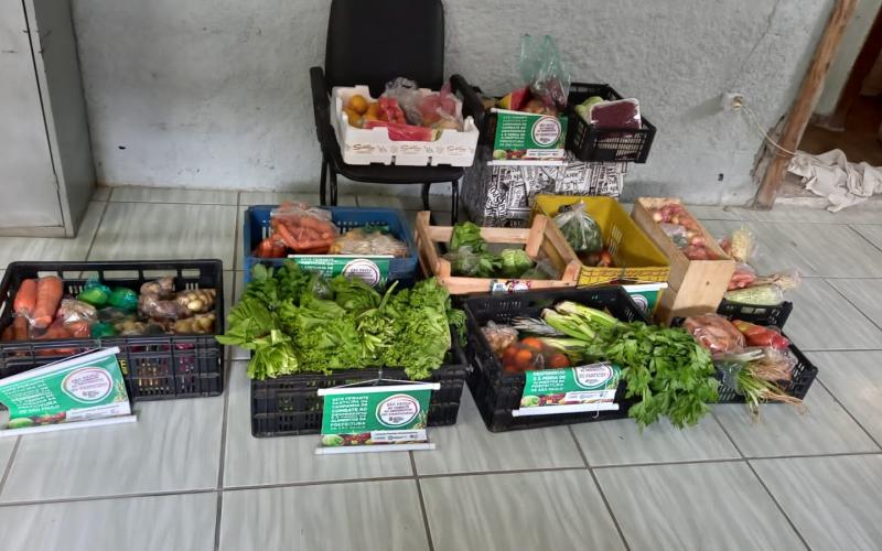 Alimentos frescos prontos para doação Cestas de alimentos frescos para doação