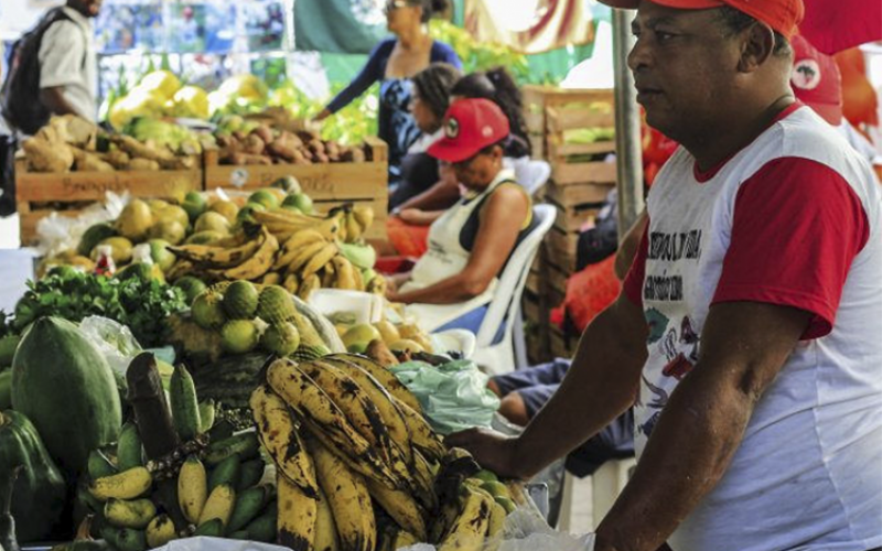 Cada vez mais parte do calendário paulistano, feira recebeu 260 mil pessoas no ano passado Foto: MST