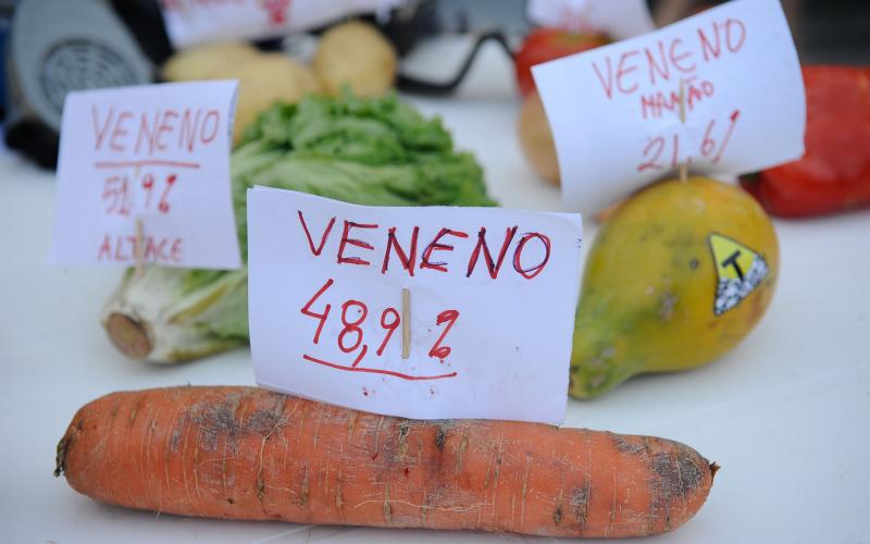 Foto: Fernando Frazão/Agência Brasil