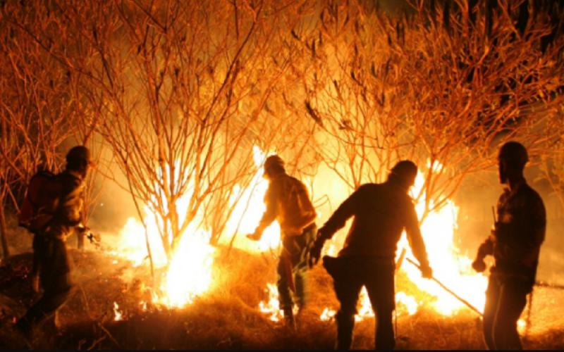 Ações de prevenção e combate ao fogo estão entre os projetos financiados pelo Fundo Amazônia ARQUIVO/GOV.BR