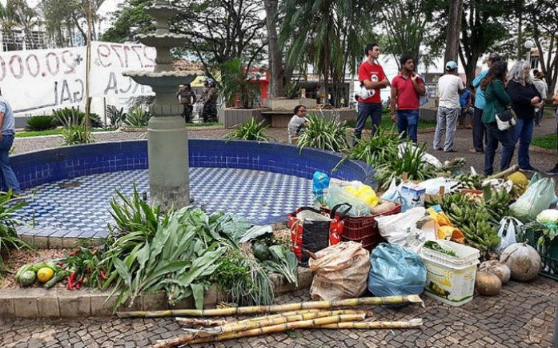 Acampados levaram alimentos para mostrar ao tribunal que atividade agrícola do Quilombo Campo Grande produz alimento e renda Foto: DOUGLAS MANSUR/BRASIL DE FATO