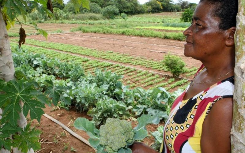 Caso a 'reforma' seja aprovada, a idade de aposentaria das mulheres será acrescida em seis meses por ano, até atingir 60 anos Foto: EBC