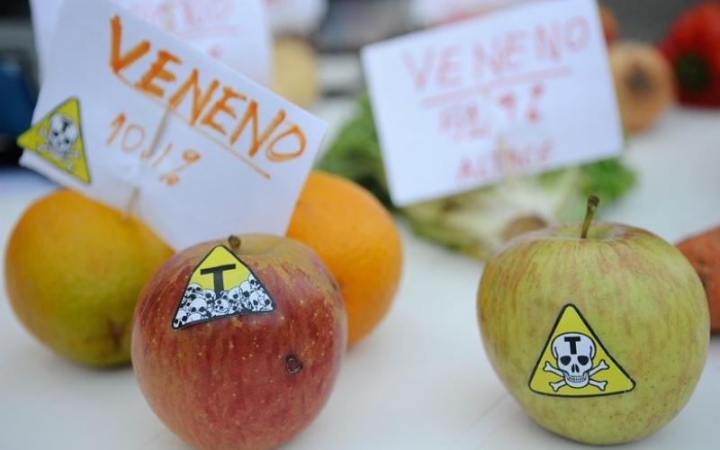 O site da campanha também um espaço de divulgação de informações confiáveis sobre os riscos dos agrotóxicos Foto: Fernando Frazão / EBC