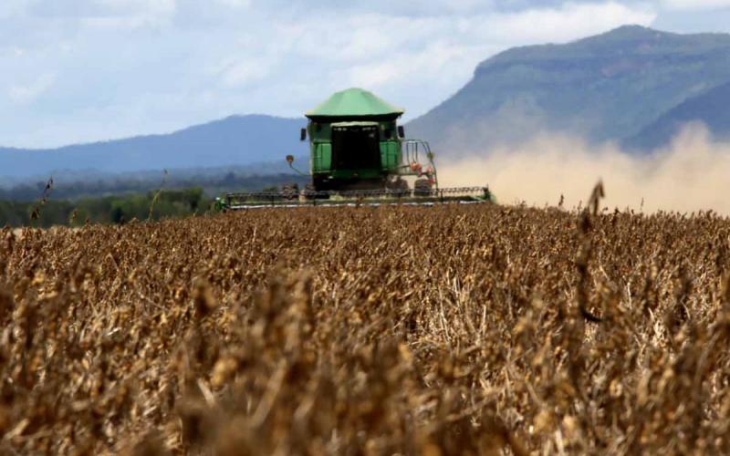 Agronegócio: “O setor começa a perceber que a preocupação ambiental é algo relevante para muitos mercados consumidores, especialmente para a União Europeia”, afirma o professor Pedro Luiz Côrtes Foto: MANOEL JÚNIOR/GOVERNO DO TOCANTINS