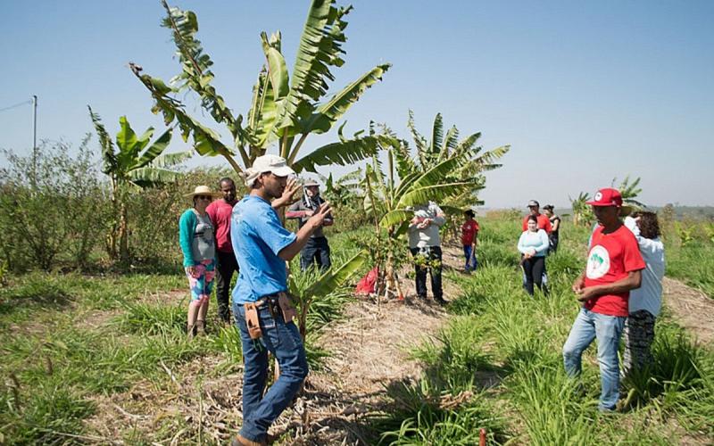 Membro da coordenação do movimento conta ações de distribuição de alimentos em 17 estados do país para driblar crise ocasionada pelo coronavírus Imagem: MST/Divulgação