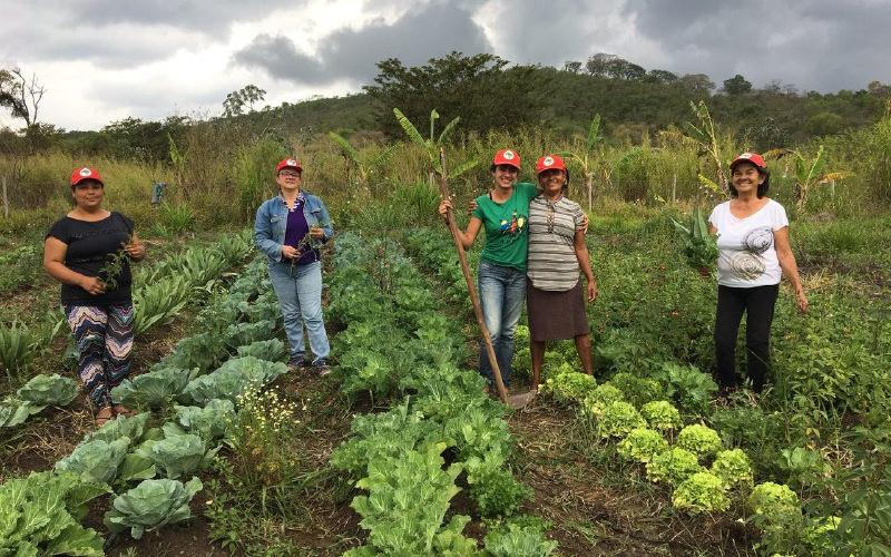 Entre 2017 e 2018, os sem-terra produziram mais de 8.500 mil sacas de café, 55 mil sacas de milho Foto: DOUGLAS MANSUR
