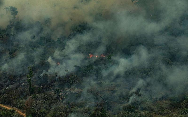 Foto: Victor Moriyama/Greenpeace cc