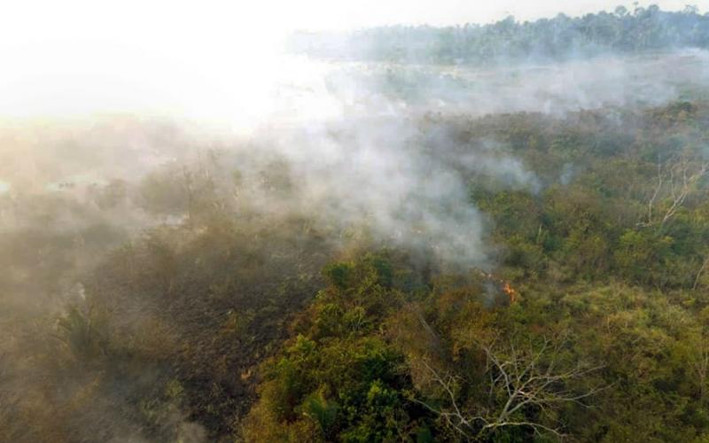 Queimadas em territórios indígenas atingem principalmente os biomas da Amazônia e do Cerrado Foto: Fotos Públicas