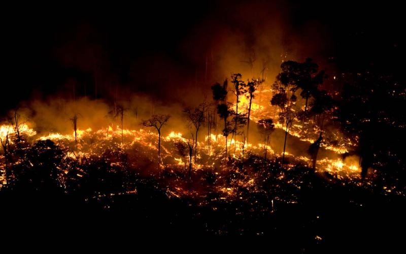 Governo Bolsonaro tem negado os dados científicos que apontam o aumento das queimadas e do desmatamento, uma postura que pode prejudicar as relações comerciais do Brasil Foto: Daniel Beltrá / Greenpeace