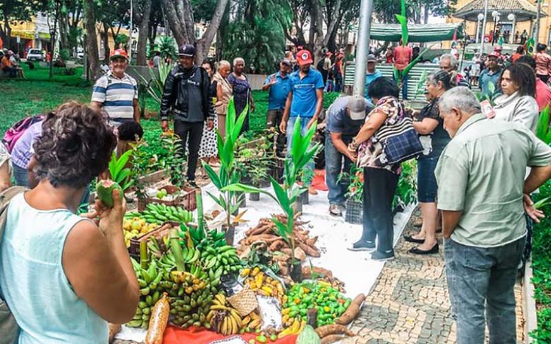 Famílias levaram toneladas de alimentos em frente ao Fórum para mostrar que o terreno gera trabalho e renda para cerca de duas mil pessoas Foto: IRIS PACHECO/MST