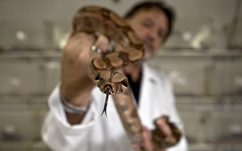 Fechamento pode deixar pessoas vítimas de picadas de animais peçonhentos sem atendimento adequado RODRIGO CAPOTE/FOLHAPRESS