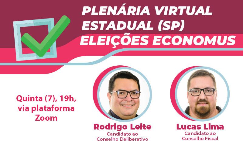 Montagem: Fabiana Tamashiro Plenária virtual sobre as eleições no Economus