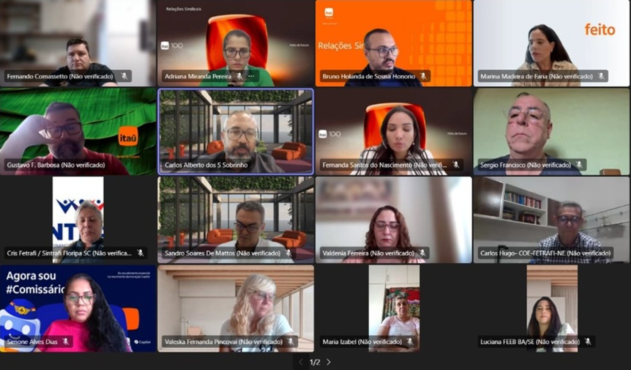 imagem mostra uma reunião virtual em uma tela de computador