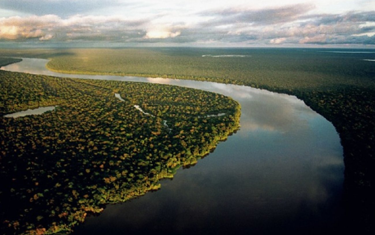 Países amazônicos devem se articular contra a degradação e o desmatamento para preservar os estoques de carbono, fundamentais para a questão climática PAULO SANTOS/2001/AMAZÔNIA SOB PRESSÃO