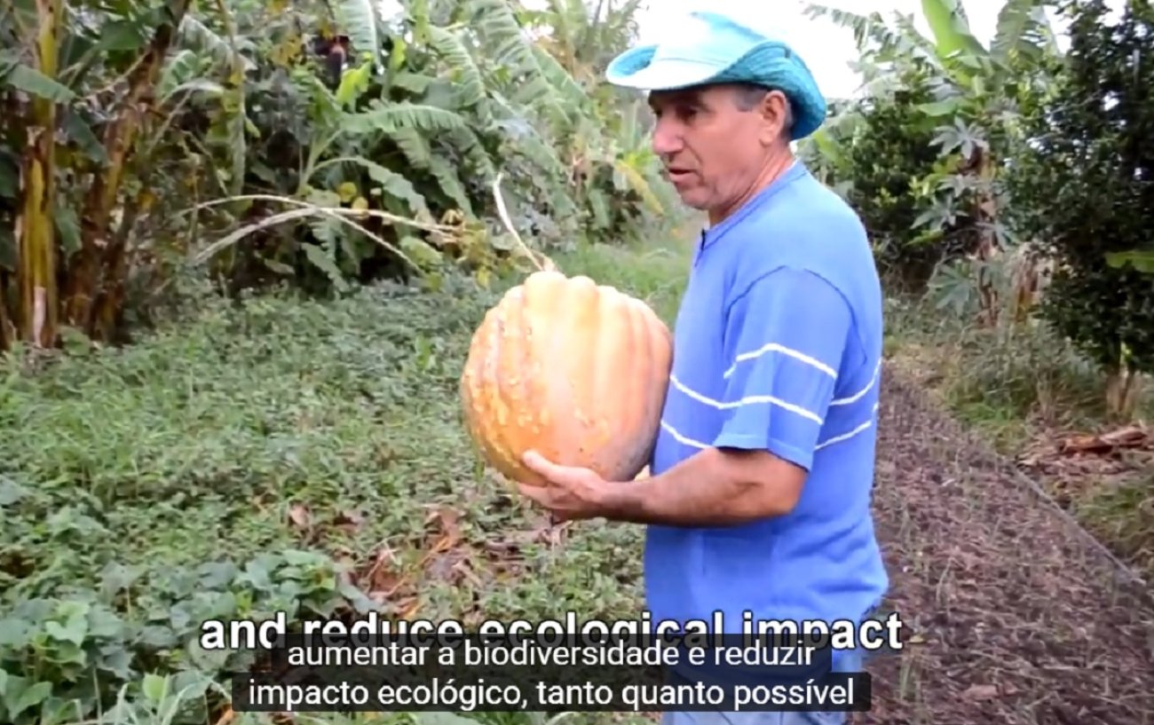 Produção de alimentos, sem uma gota veneno, no Assentamento Contestado, no Paraná Foto: Reprodução