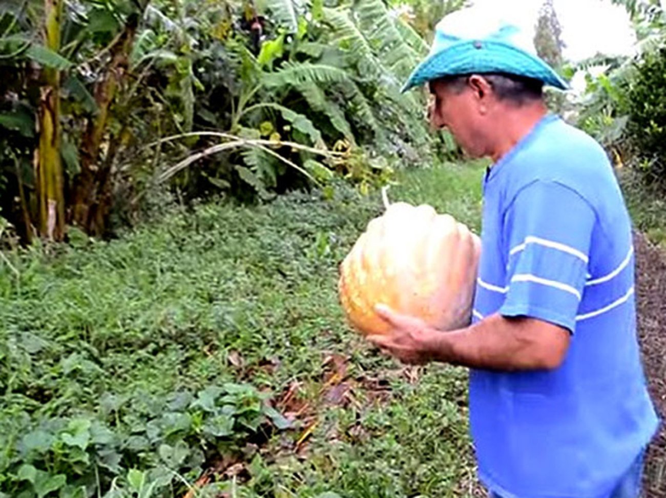 "Vamos levar a agroecologia e o Movimento dos Trabalhadores Sem Terra ao palco mundial", celebram diretores Reprodução