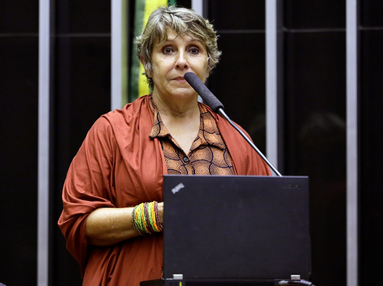 A deputada Federal Erika Kokay (PT-DF) Foto: Najara Araujo/Câmara dos Deputado