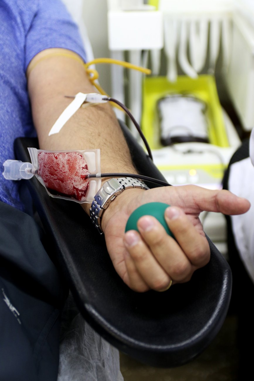 Aproveite tempo livre do feriado para doar sangue Rodrigo Nunes/MS