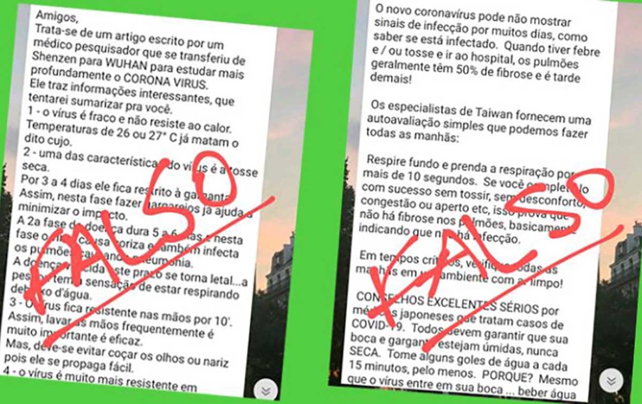 Não espalhe fake news sobre o coronavírus nem sobre outro assunto. Dúvidas podem ser esclarecidas pela equipe do Nunca vi 1 Cientista Reprodução Jornal da USP
