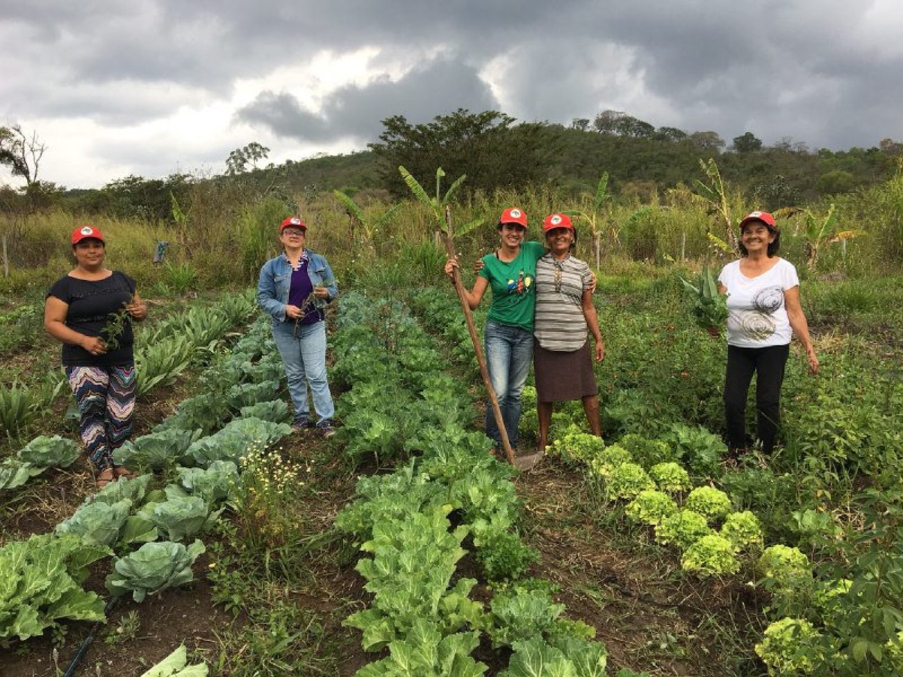 Entre 2017 e 2018, os sem-terra produziram mais de 8.500 mil sacas de café, 55 mil sacas de milho Foto: DOUGLAS MANSUR