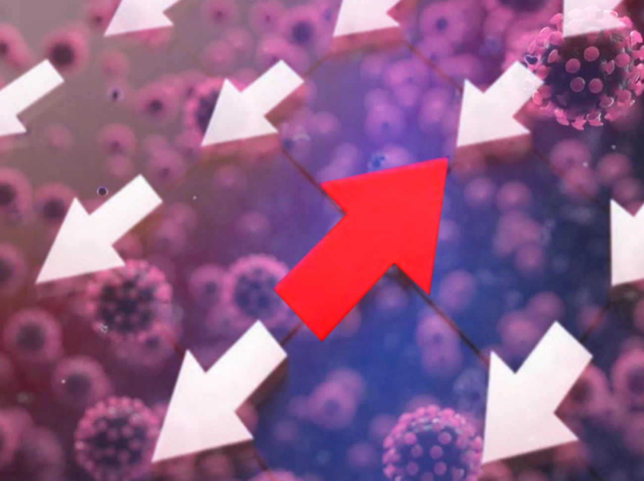 Montagem: Linton Publio