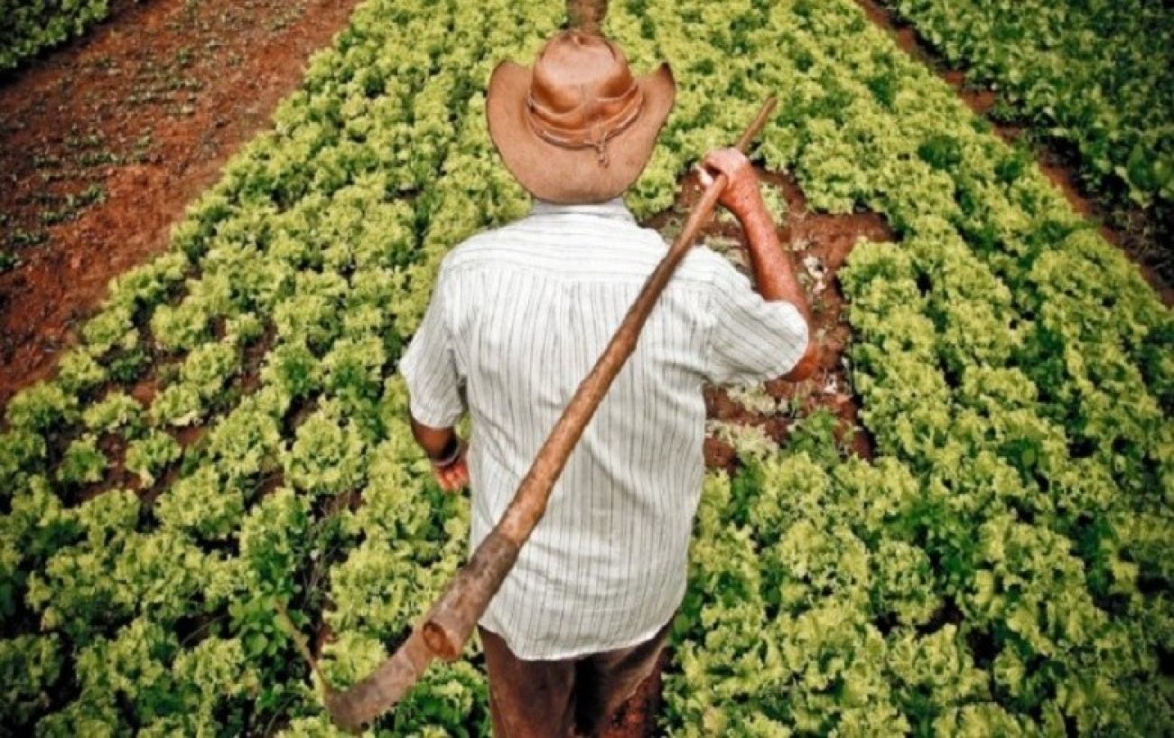 Reconhecido pela ONU e replicado em países africanos, programa que cria mercado ao pequeno produtor corre riscos Foto: Divulgação