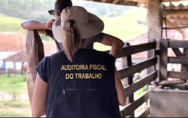 Foto: Ministério do Trabalho/Divulgação