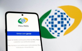 (Reprodução/INSS)