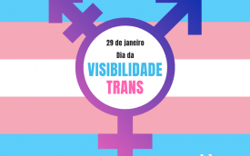 Arte: visibilidadetrans.com.br