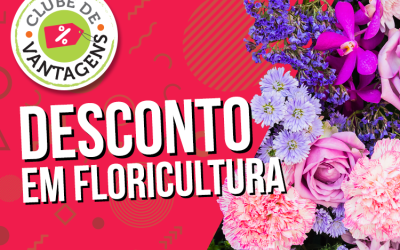 Montagem: Fabiana Tamashiro