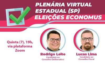 Plenária virtual sobre as eleições no Economus