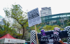 Imagem mostra protesto do Sindicato contra o BTG