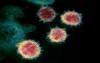 Imagem microscópica do Coronavírus