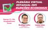 Plenária virtual sobre as eleições no Economus